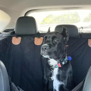 Transport